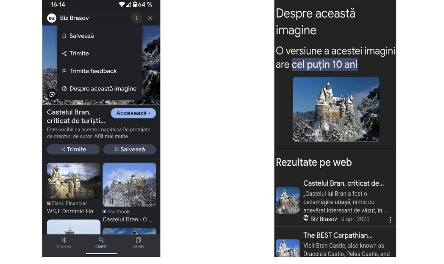 Google: „Despre această imagine” și „Despre acest rezultat”, disponibile și pentru limba română